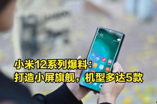 小米最新机型爆料视频,创新设计与强大性能一睹为快