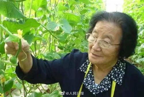 网红打假吃瓜是谁发明的,揭秘流行现象背后的创新发明