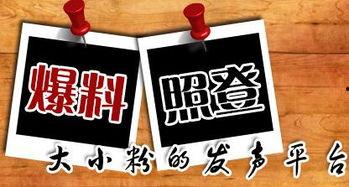 重庆永川新闻爆料热线,倾听民声，守护城市脉搏
