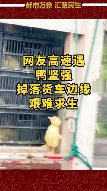 鸭货最新爆料新闻,揭秘行业背后惊人真相