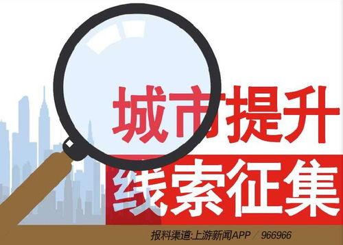 上游新闻爆料网站,揭秘网络爆料平台的幕后故事