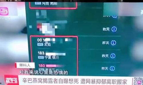 辛巴继续爆料了吗视频,揭秘幕后真相，事件持续发酵