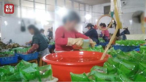 酱菜生产爆料视频大全,视频大全带你领略传统工艺魅力