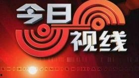 今日视线爆料台电话,电话背后的真相与内幕