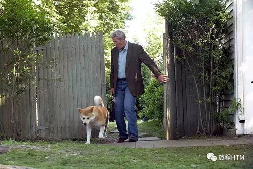 忠犬八公的故事在线观看
