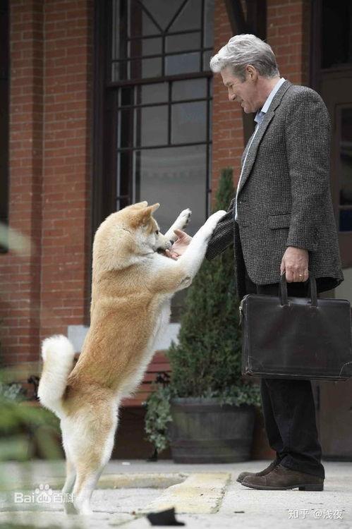 忠犬八公的故事在线观看