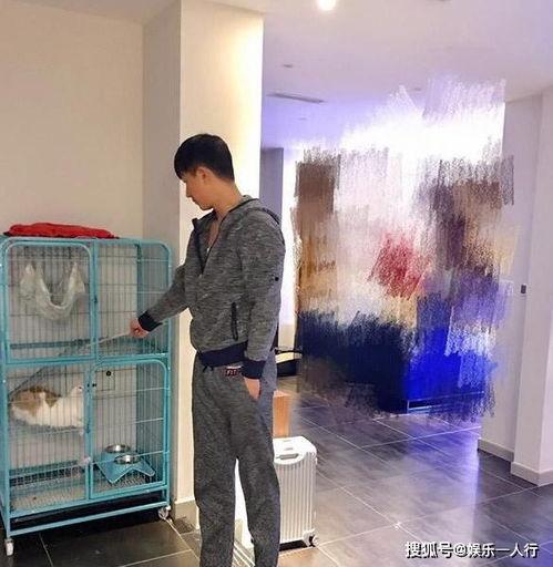 流动小厨爆料怎么做视频,轻松学会家常美食制作