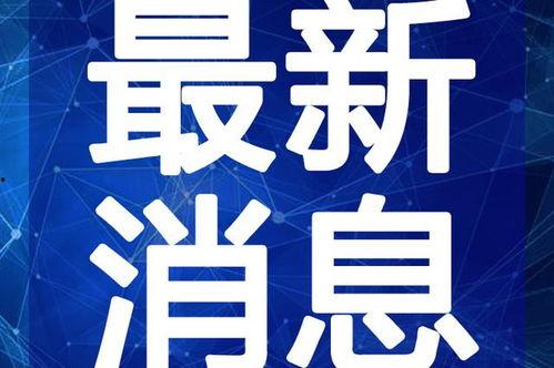 沃神最新爆料误判视频,最新误判视频曝光，篮球赛场争议瞬间引热议